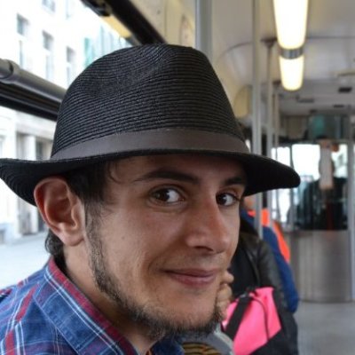 Tudor Macicasan - Sustainable Mobility Expert, Independent Engineering Consultant
